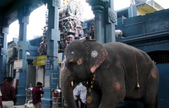 4179329555_ea719e4783_b