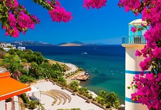 Blue-wings-2023-Bodrum