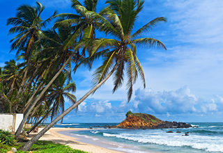Blue-Wings-2026-Srilanka-Guided-Tour